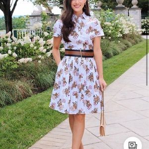 Floral Striped Cotton Poplin Pleated Shirt Dress